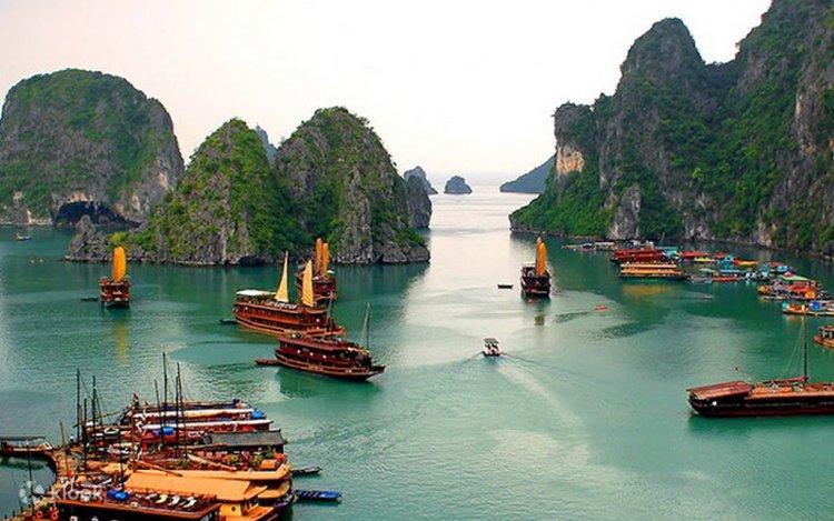 Hanoi + Halong Bay + Sapa + Fansipan + Rong May Glass Bridge + Tamdao
